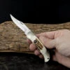 Boker Boy Scout Hirschhorn Folding Knife 2 Boker Boy Scout Hirschhorn Folding Knife -Boker Shop 112403.4 52633.1645113825